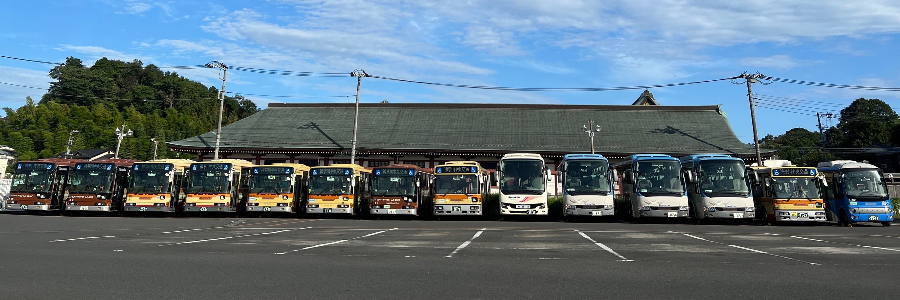 フレッシュ