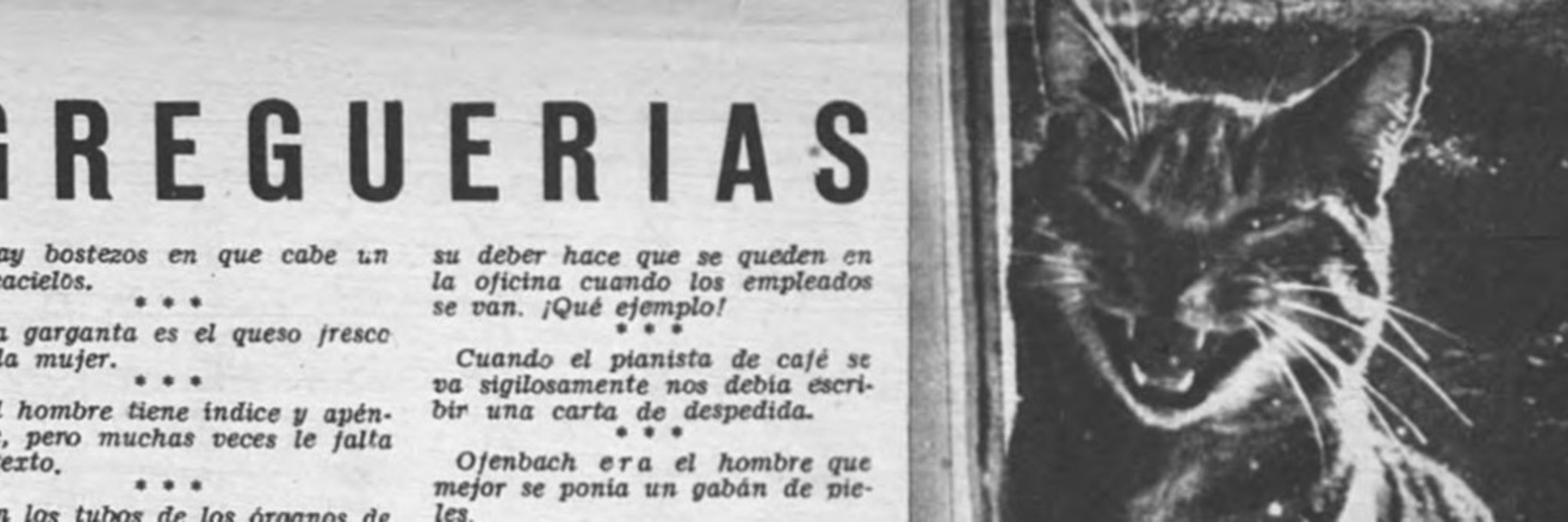 Ricardo Fernández Romero 