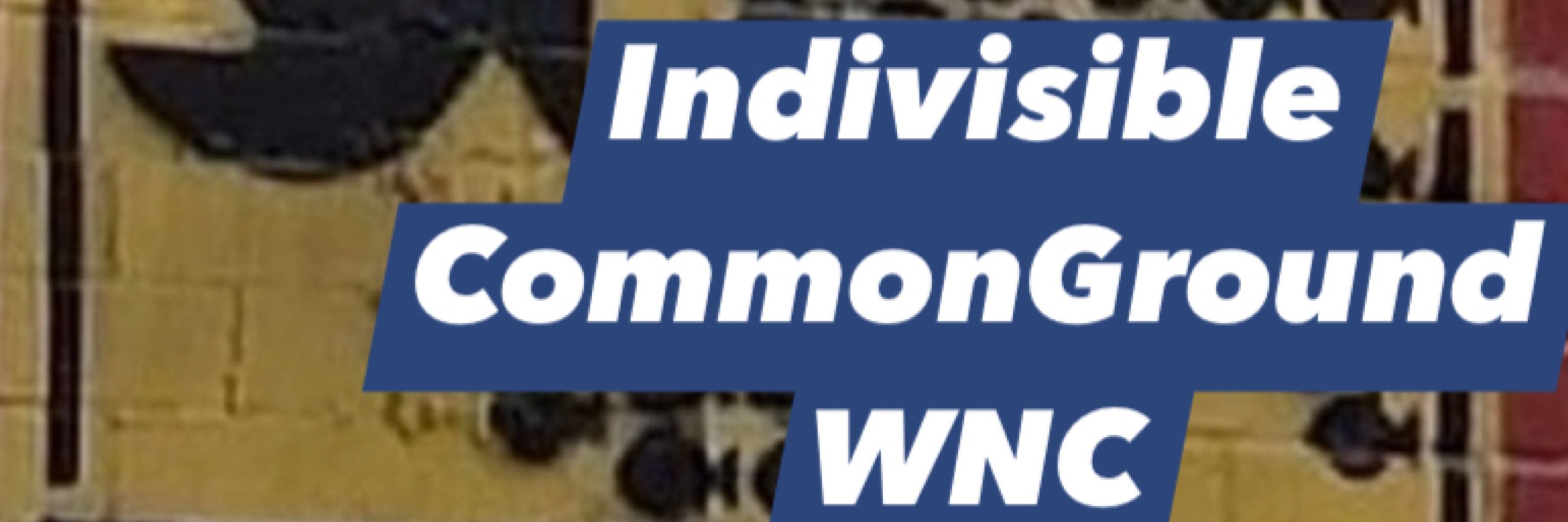 IndivisibleCommonGroundWNC