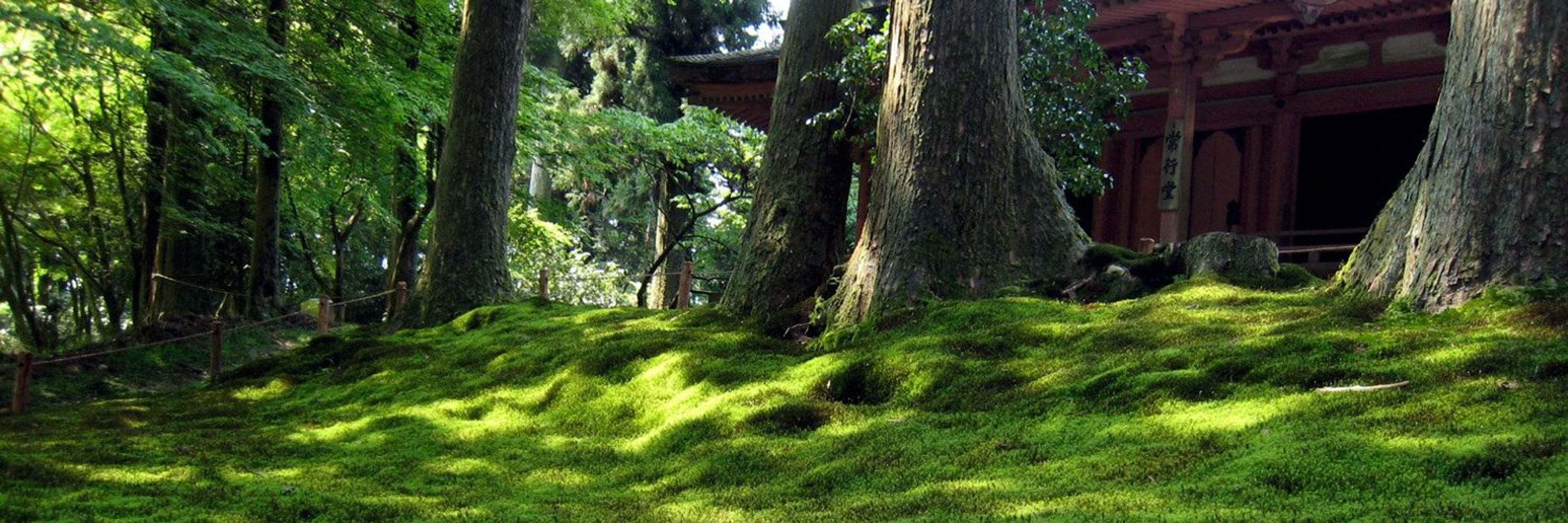 Yoshihiko AKIDUKI