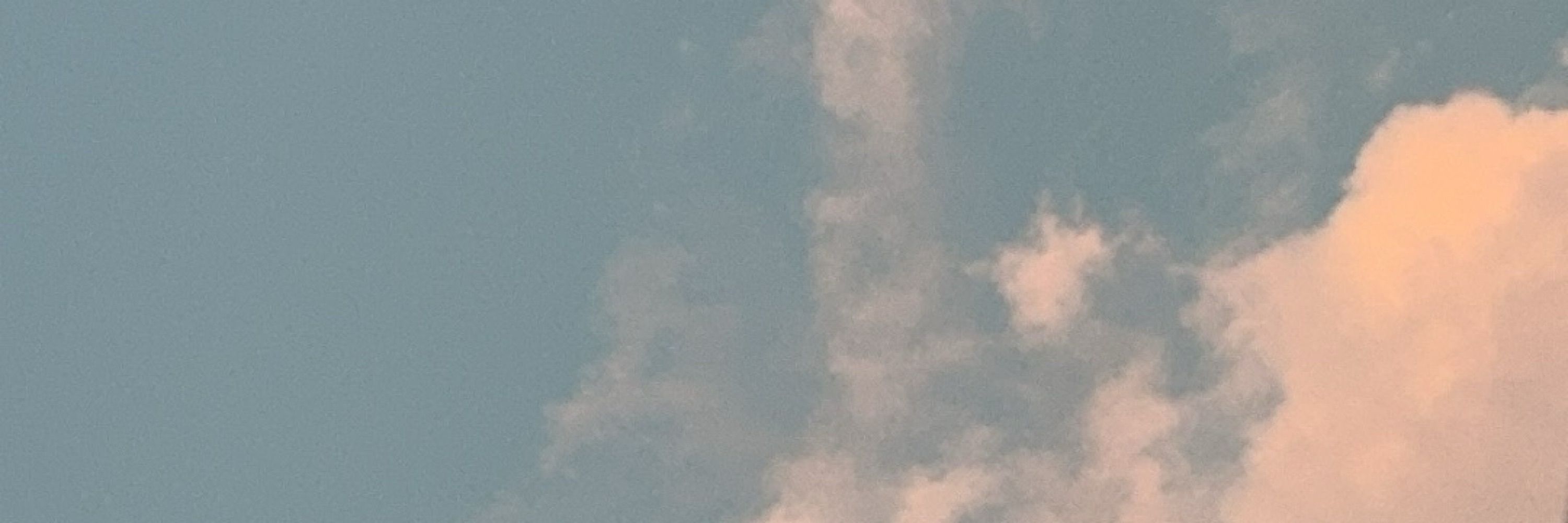孫孫順