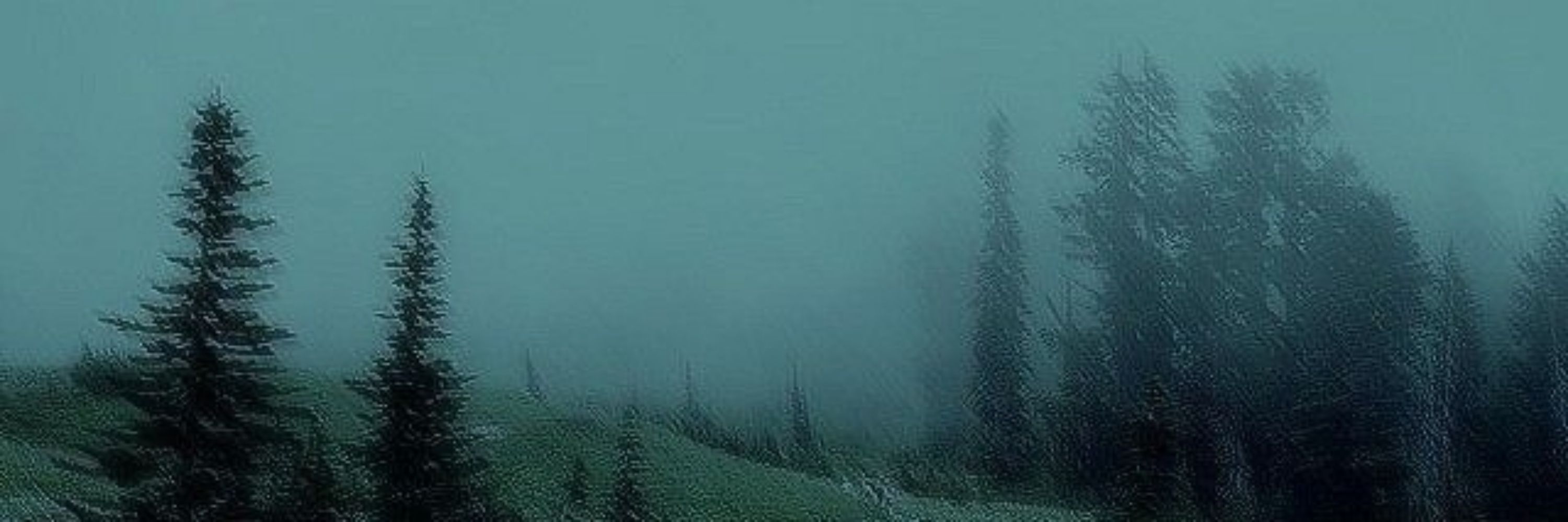 Ɗavi 😶‍🌫️☘️