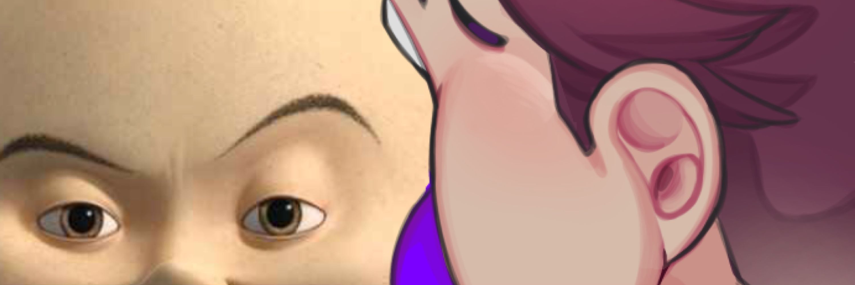 PIPO