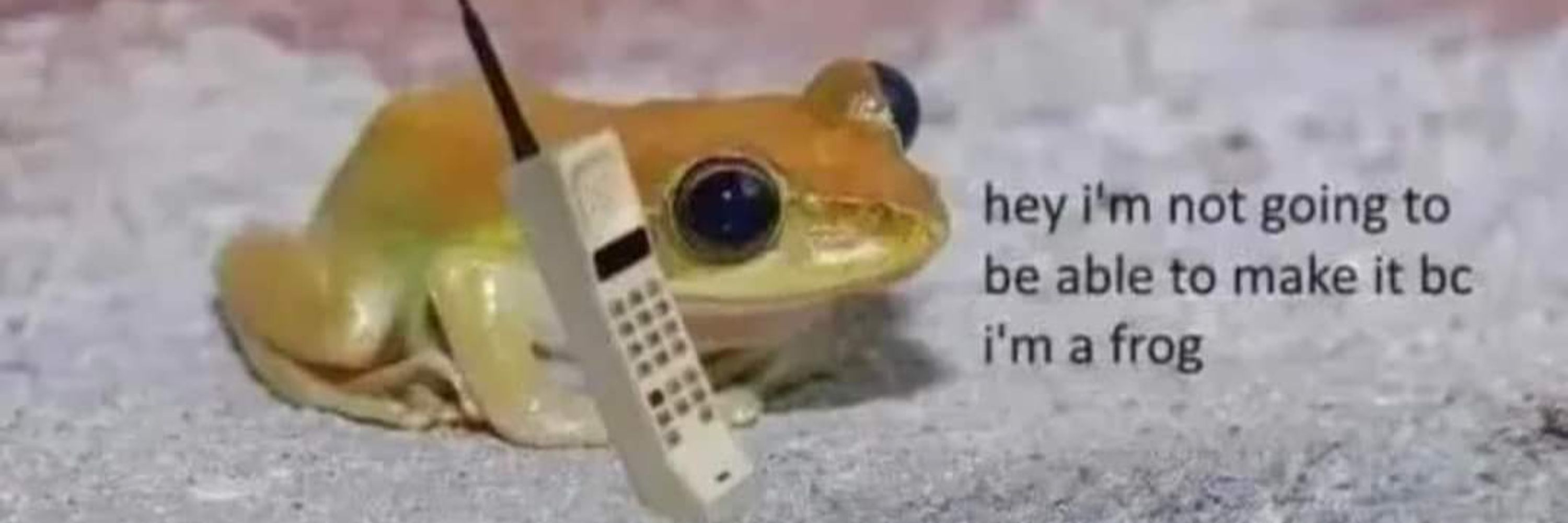 Brendan