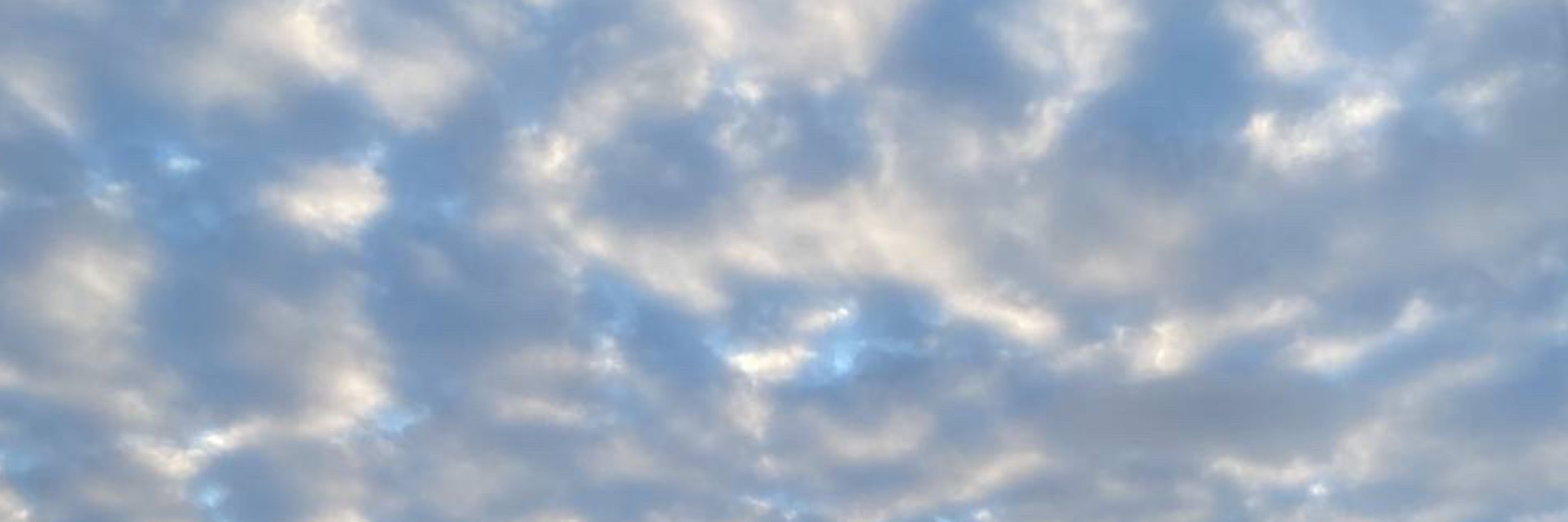 پالی