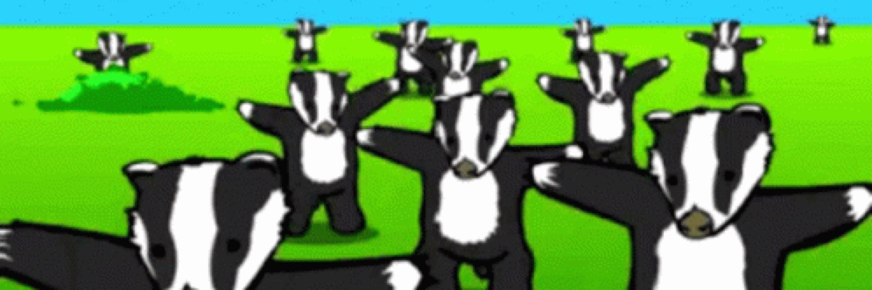 shabbos badger