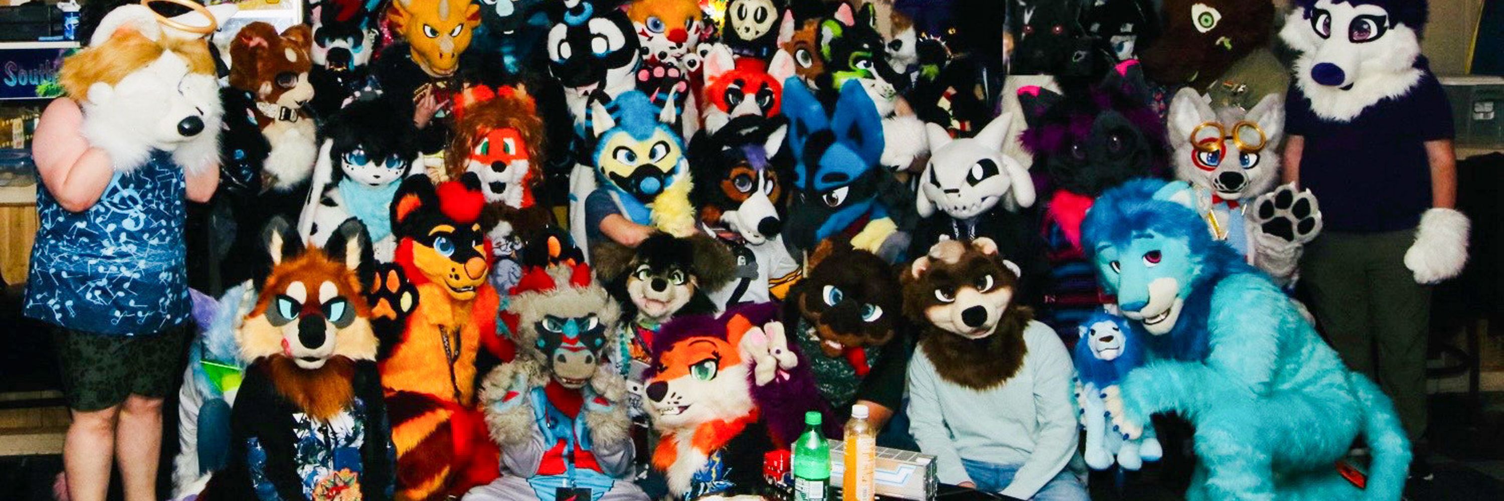 Hamden Furbowl