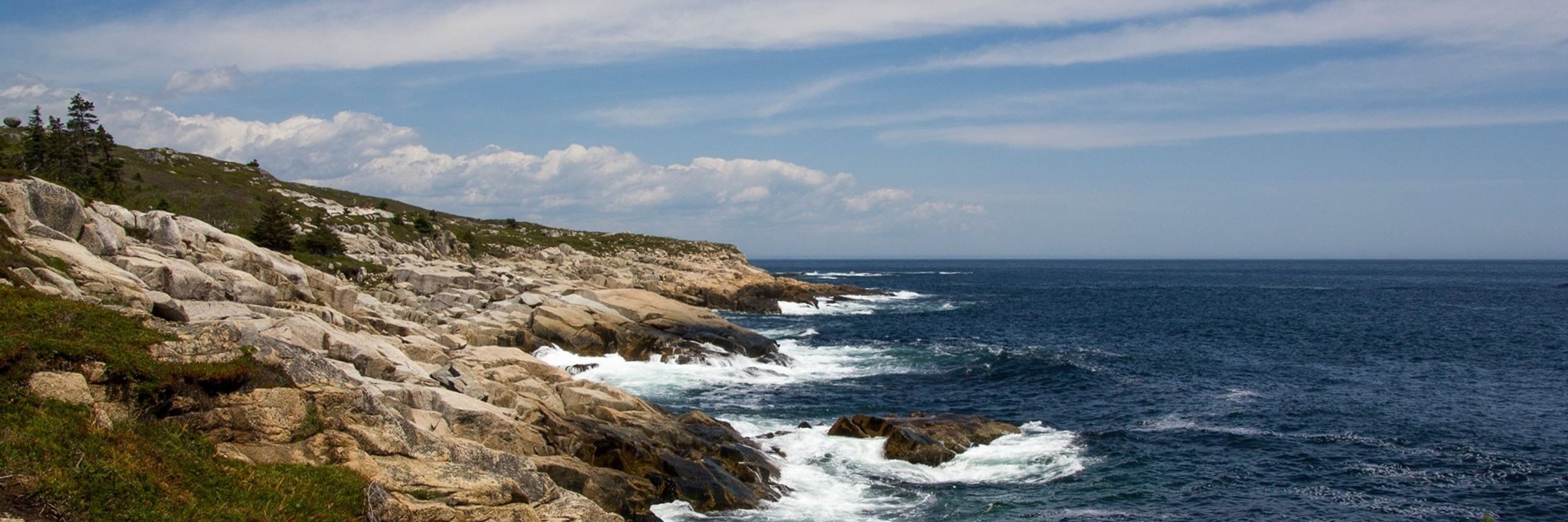 East Coast Environmental Law