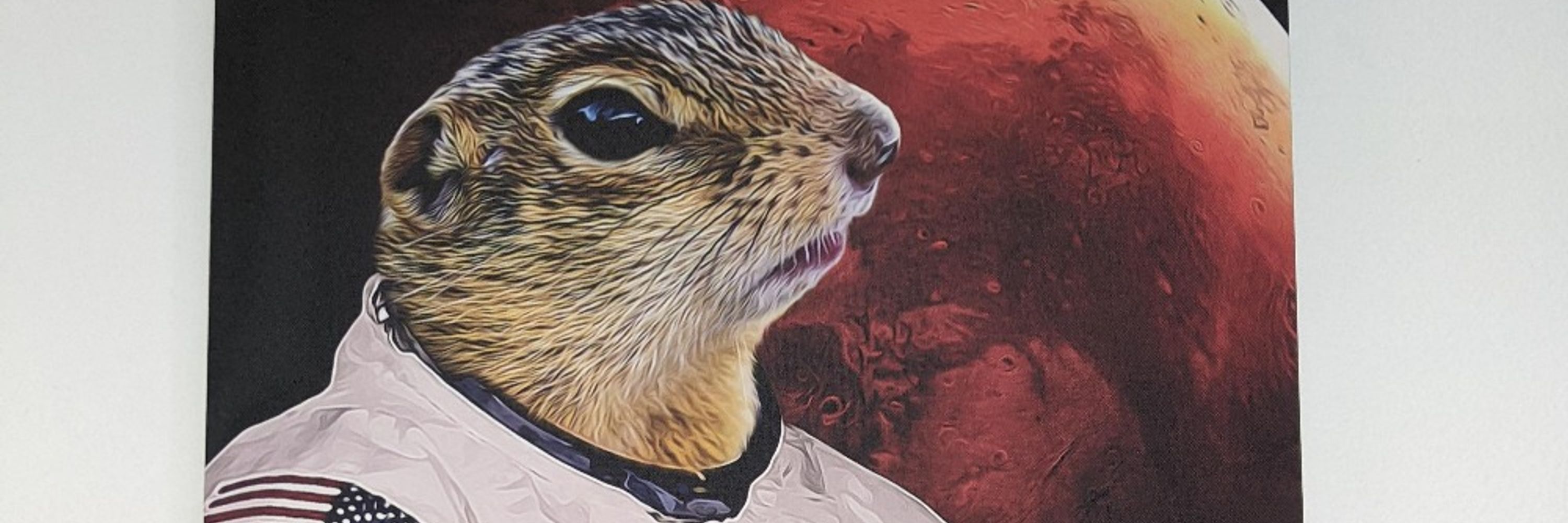Ben Sajdak 🐿️
