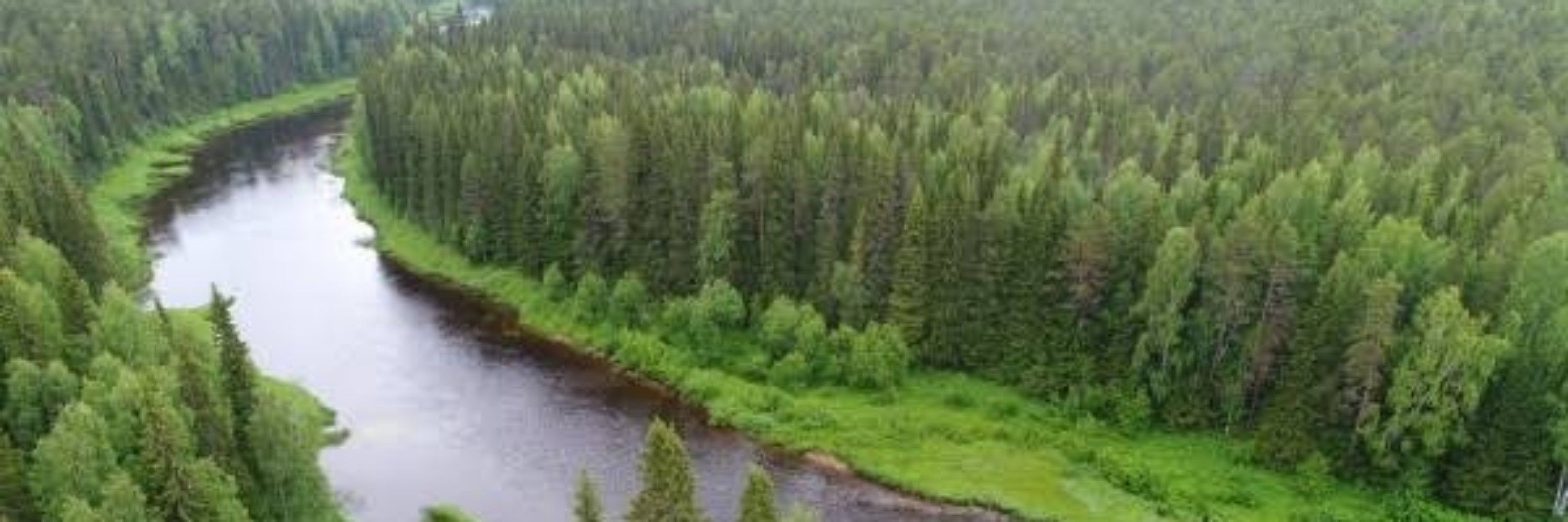 Павел