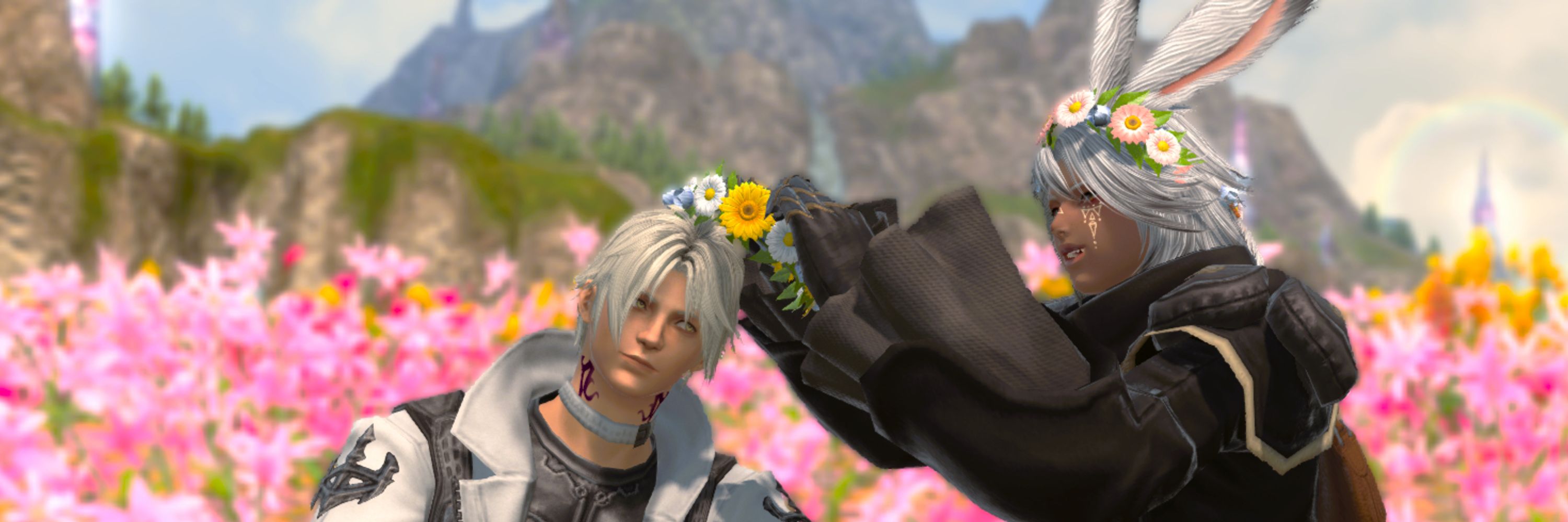 Aster 