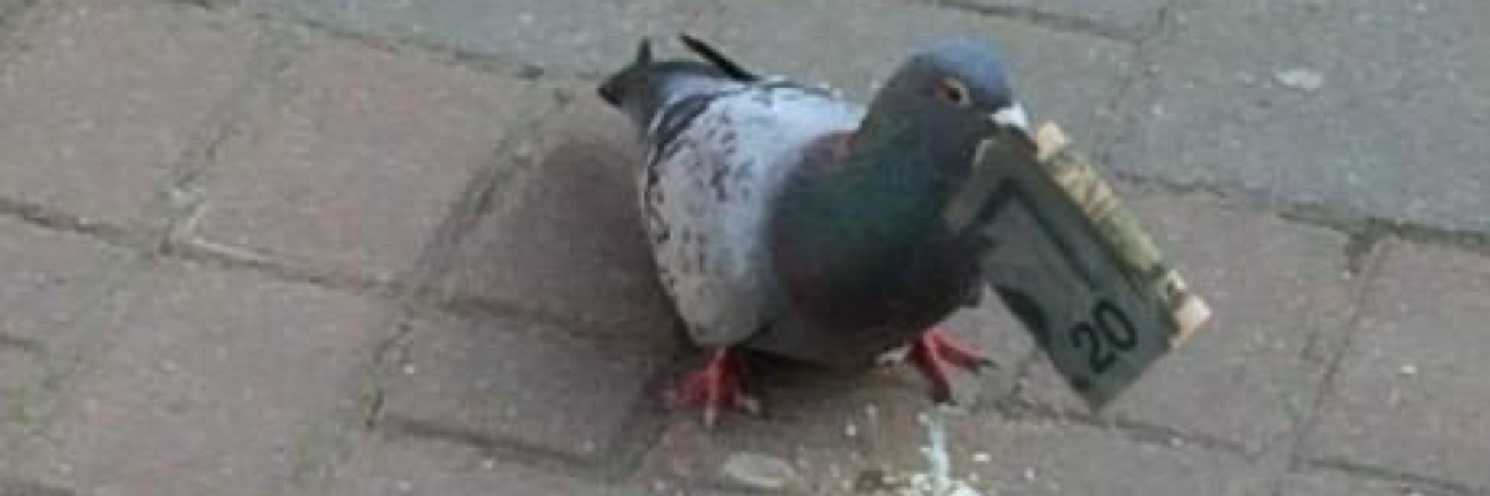 EpicBoi12 14