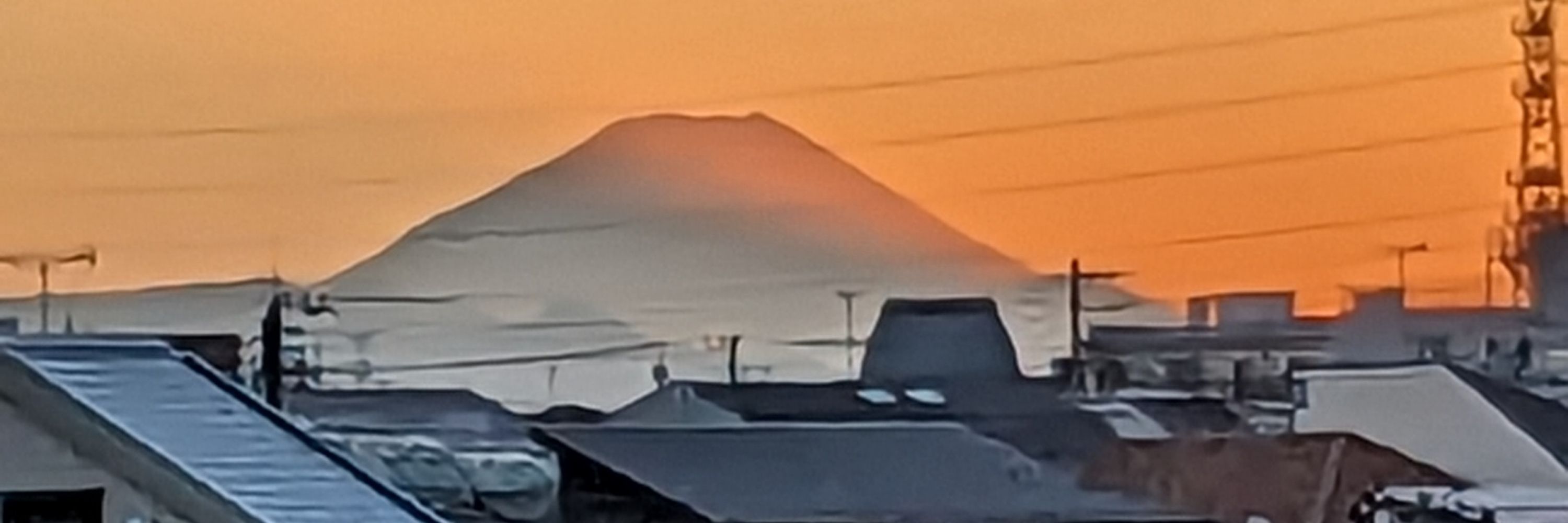 會川　昇　株式会社フィクション