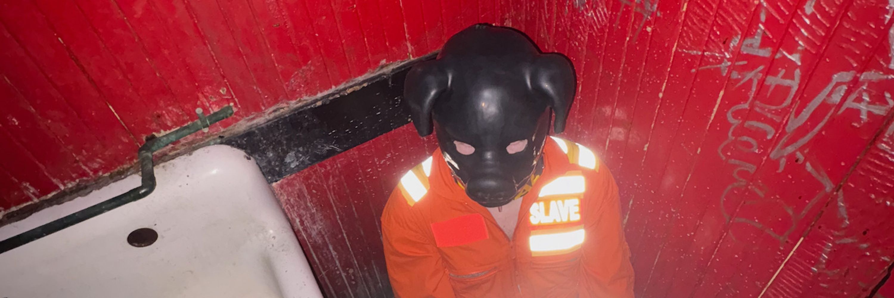 slave pig rex