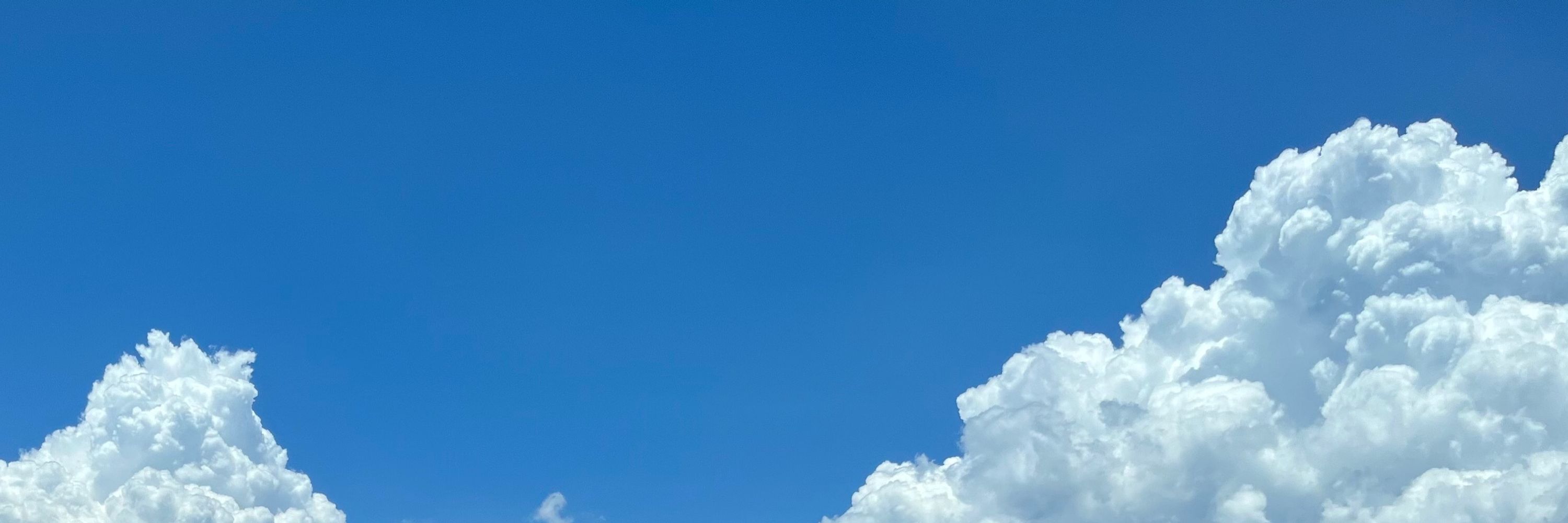 翰繁zzz