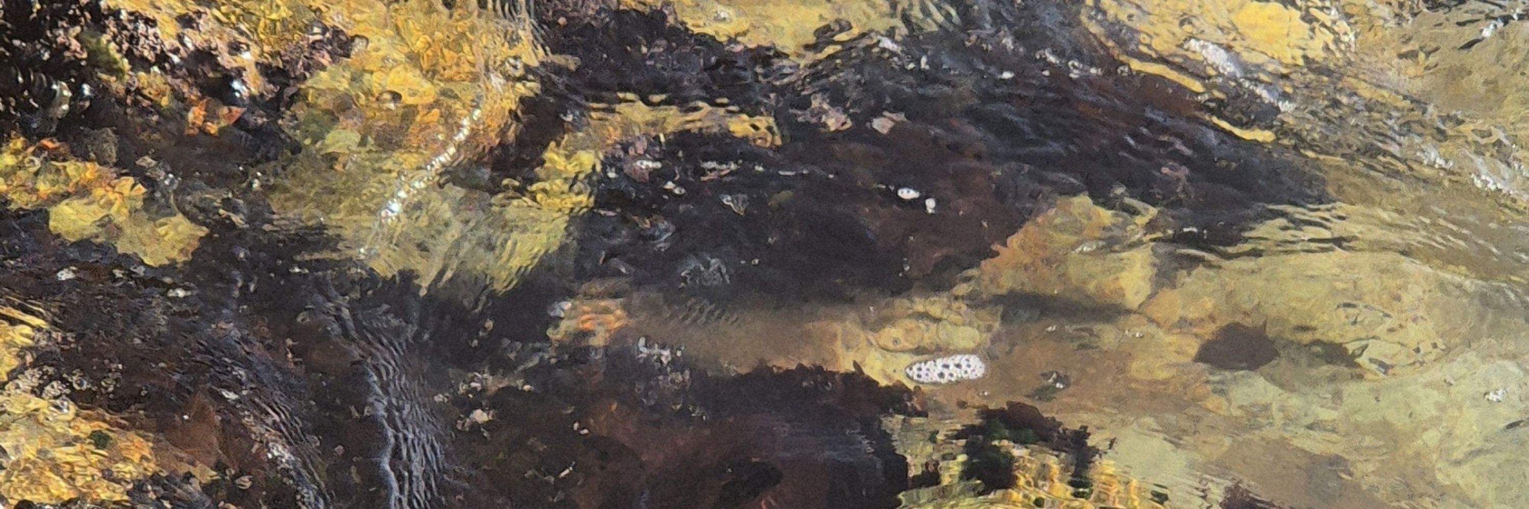 동