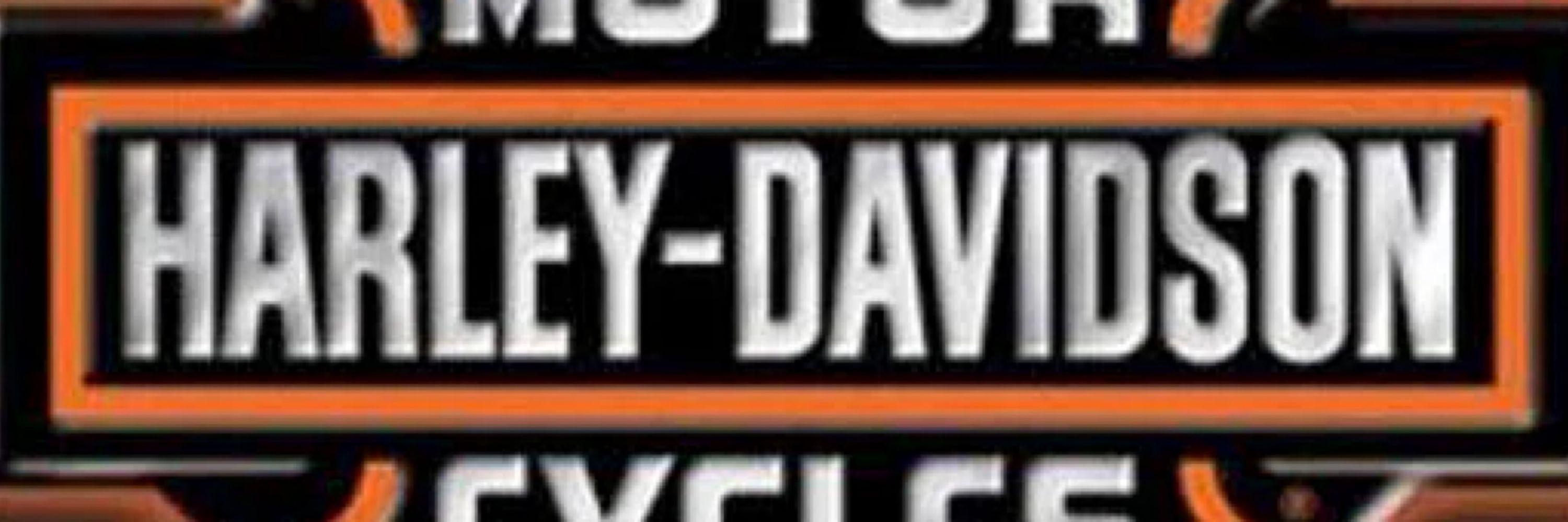 Harley Man