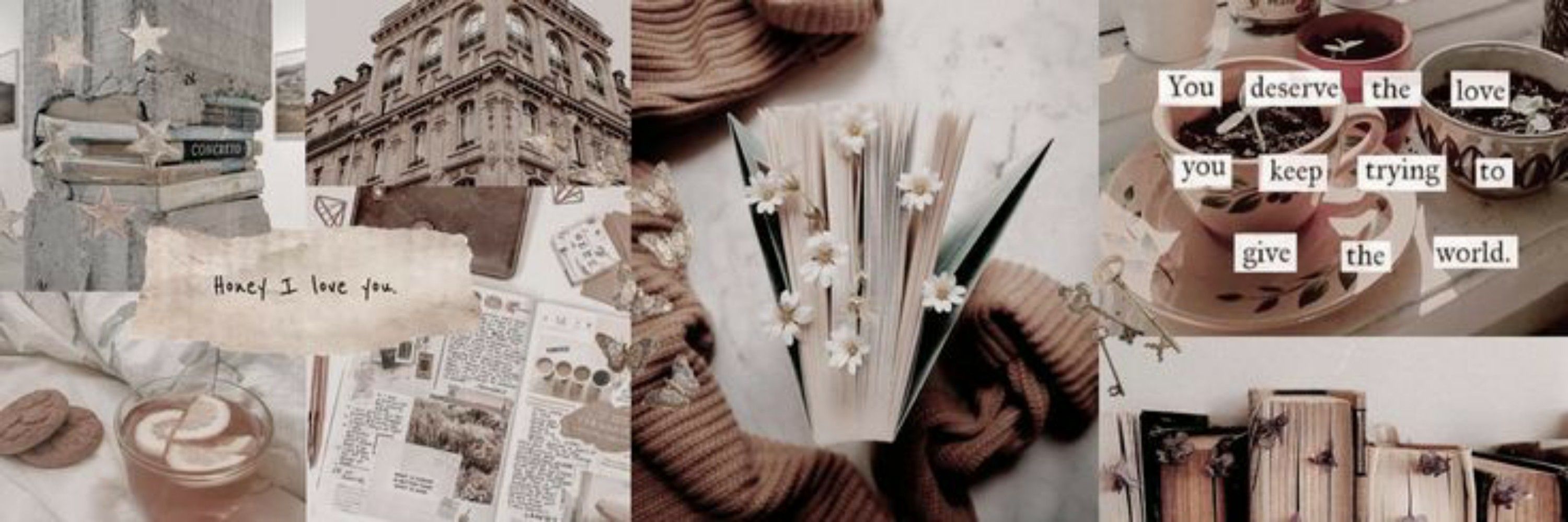 Rosa lê livros 