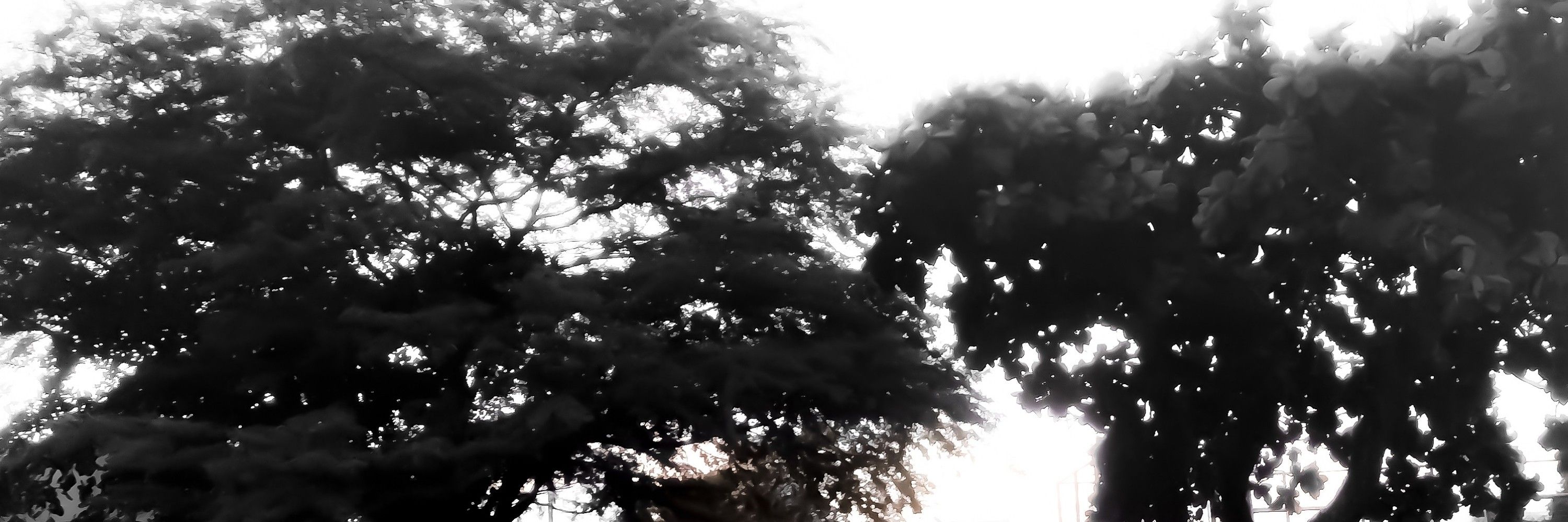 ༘⊹࣪.₳𝖌𝖆ȶ𝖍ɑׁྀིྀིྀིྀིྀིׅ֮࿐*
