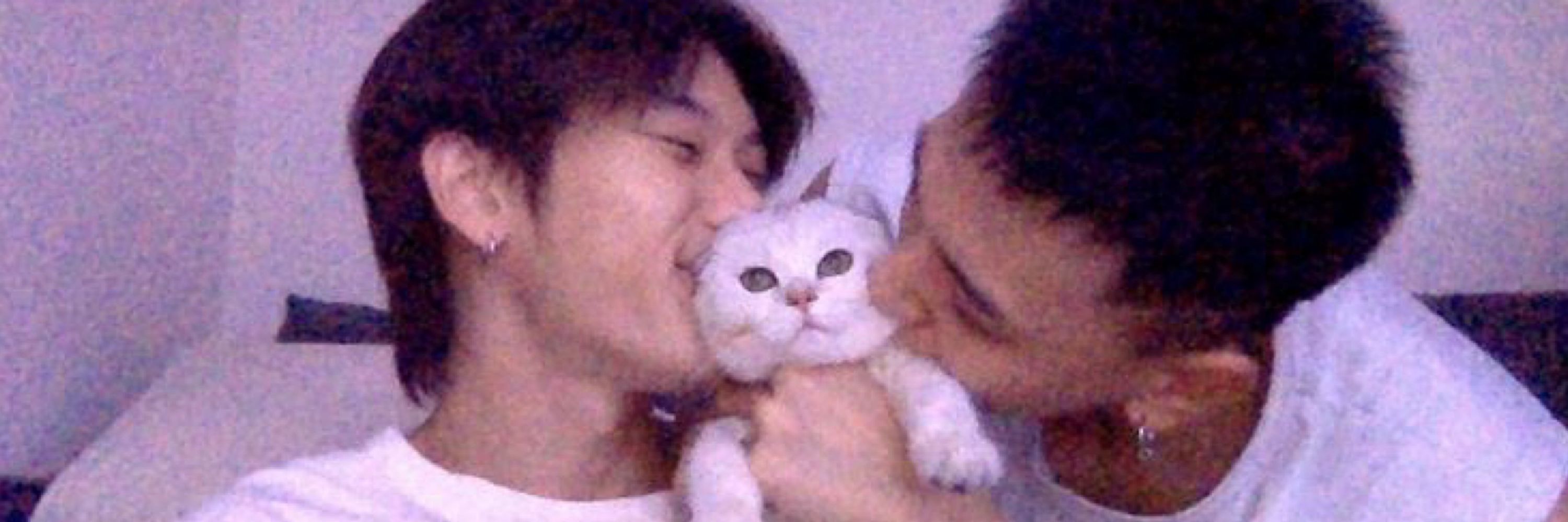 วิ ૮ ˶ᵔ ᵕ ᵔ˶ ა