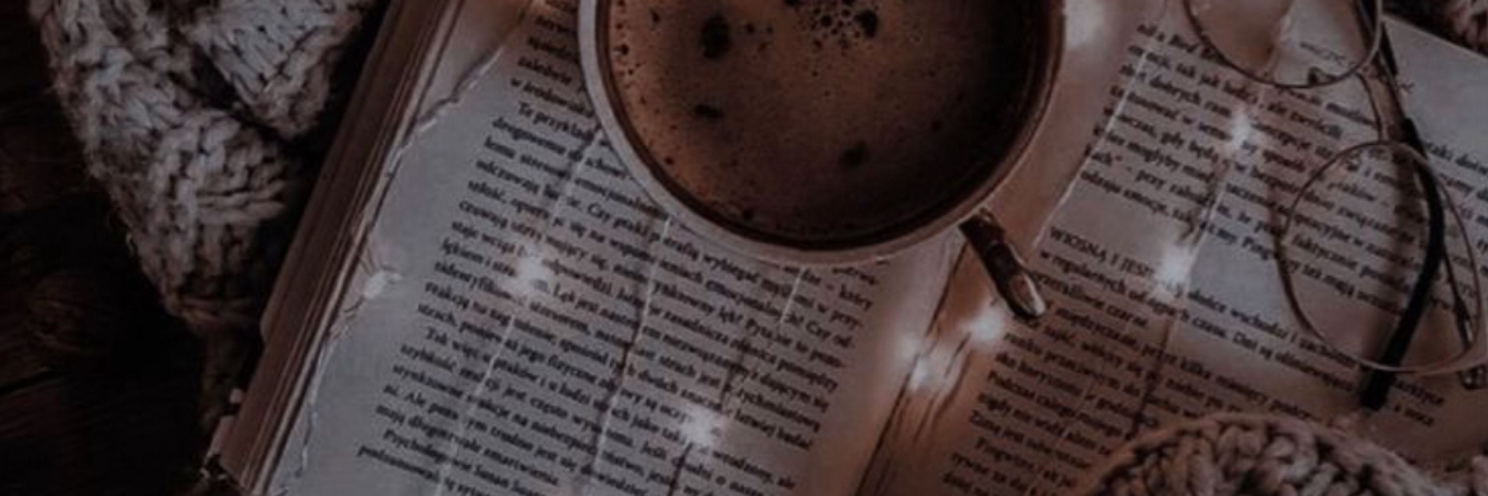 Literasammy | Escrevendo Shandra 