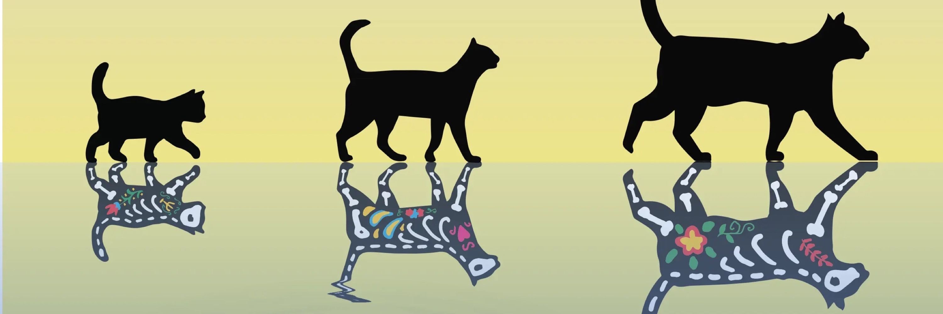 Schrödinger's cat