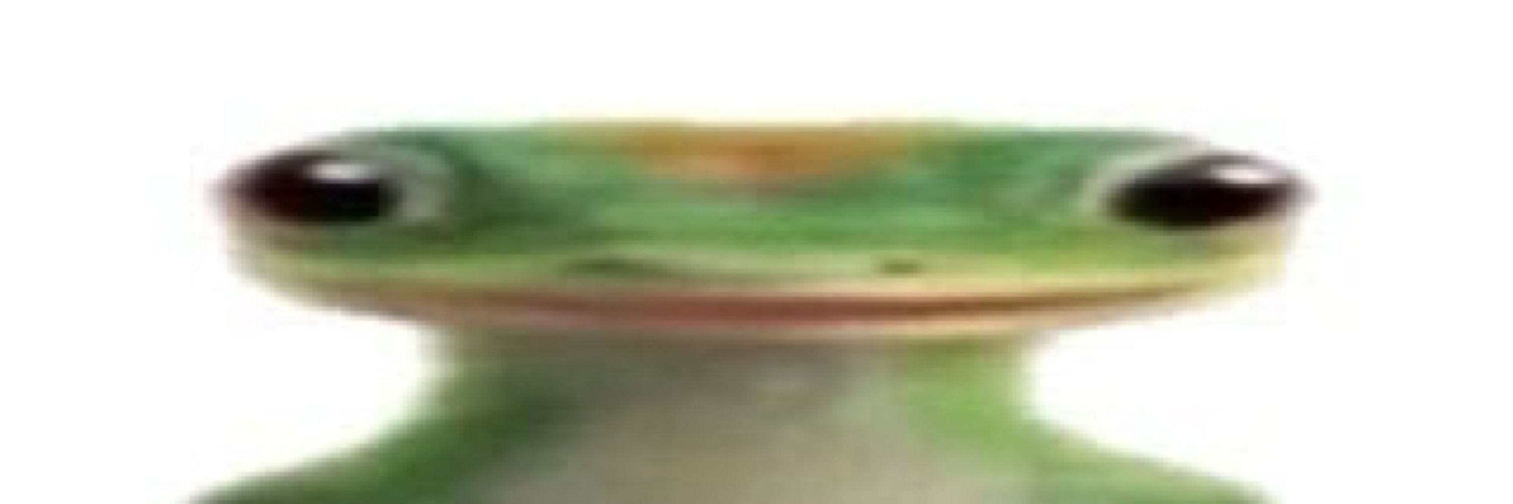 gabiu
