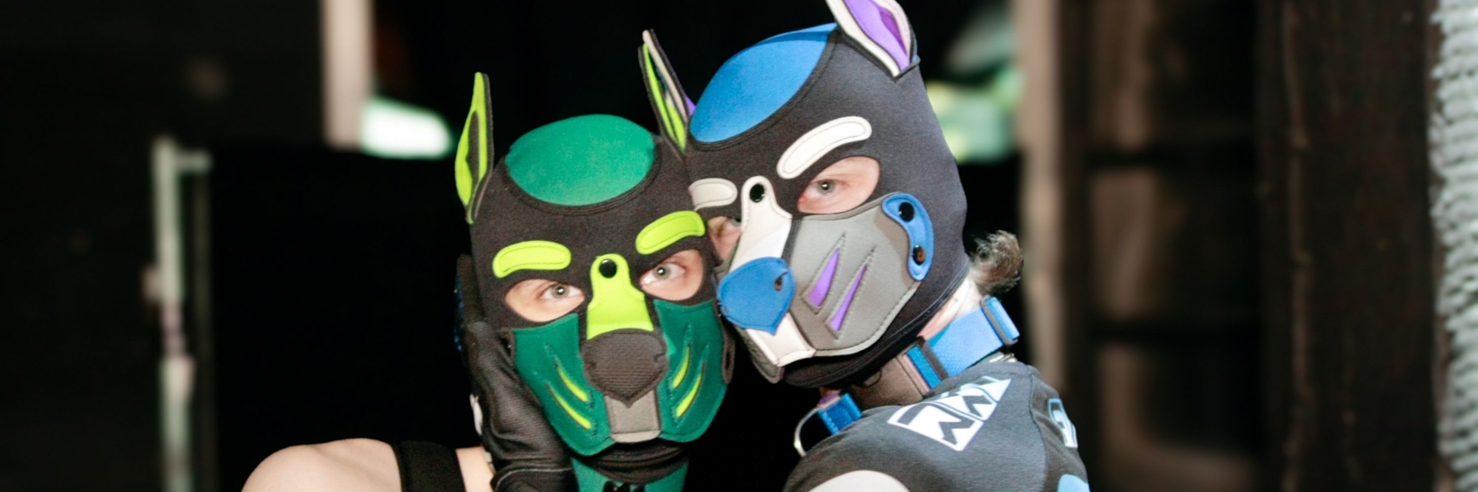 Pup_Newt
