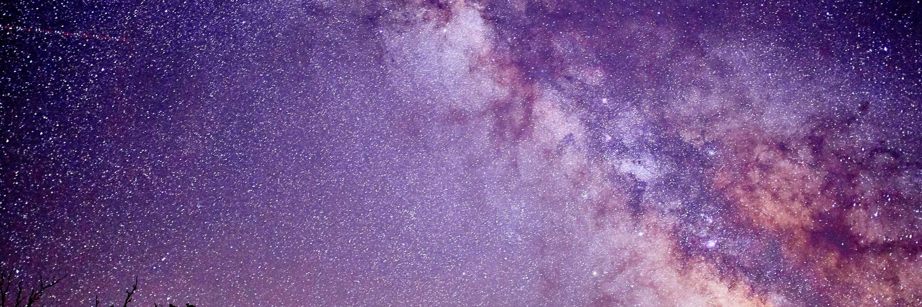 ★starrgwenn★