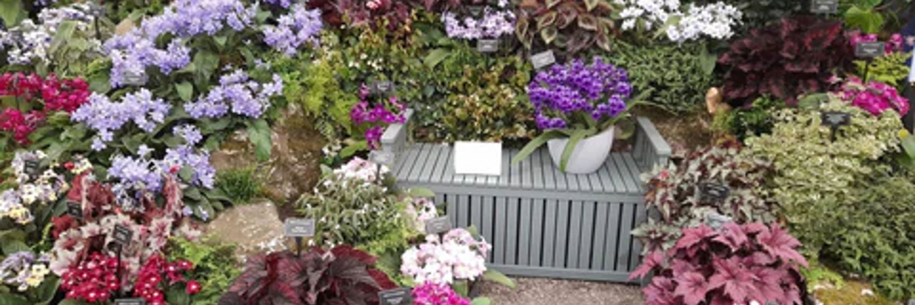 Dibleys Nurseries