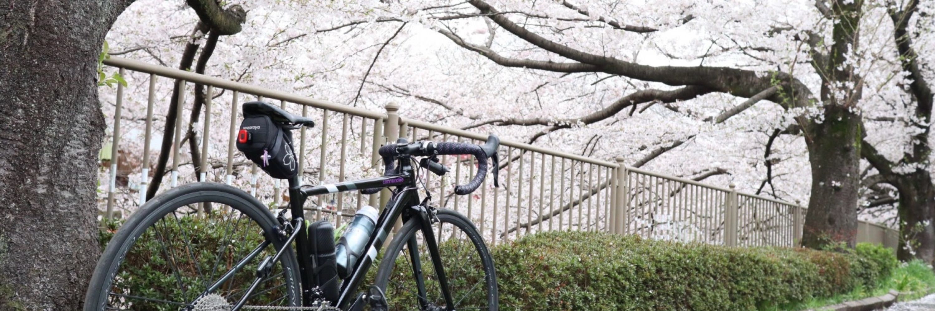 さとみ