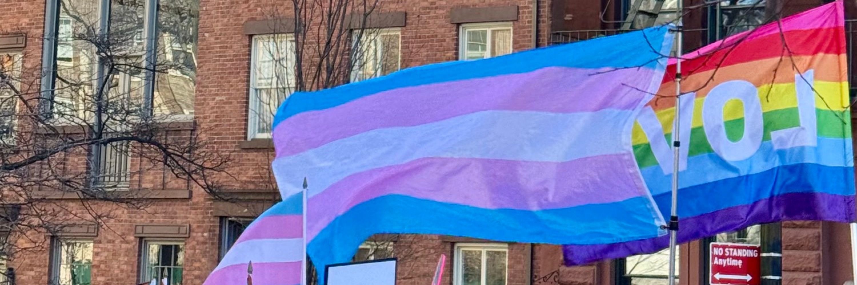 Sam Schultz 🏳️‍🌈🏳️‍⚧️