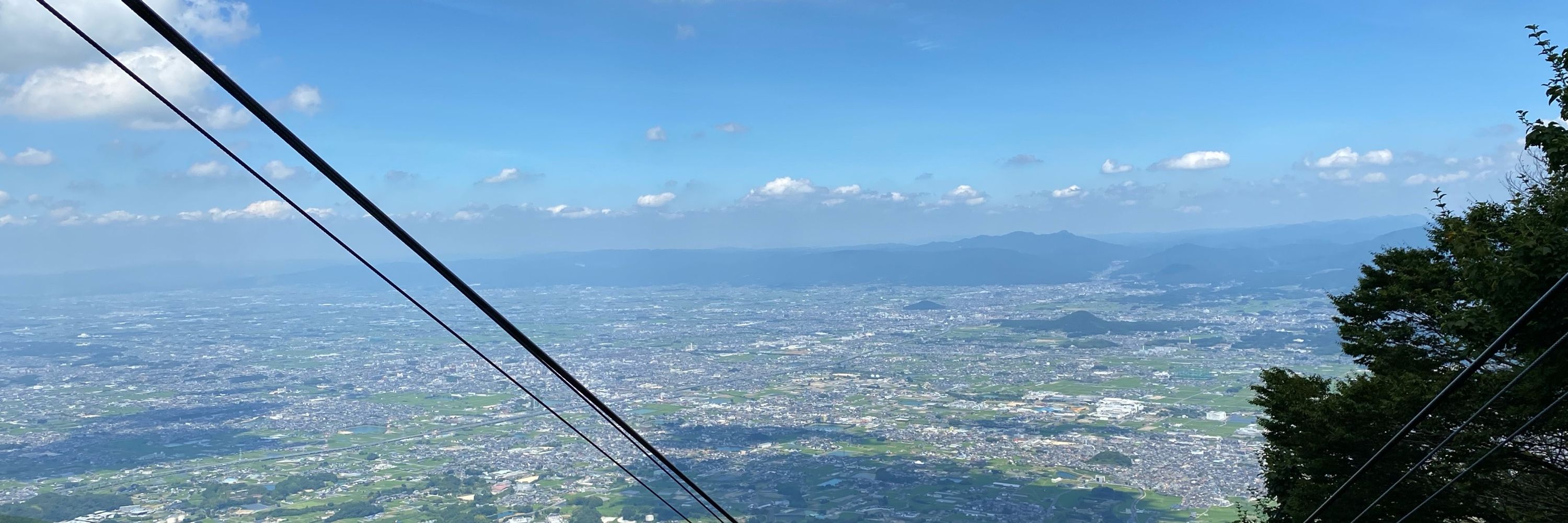 なまず