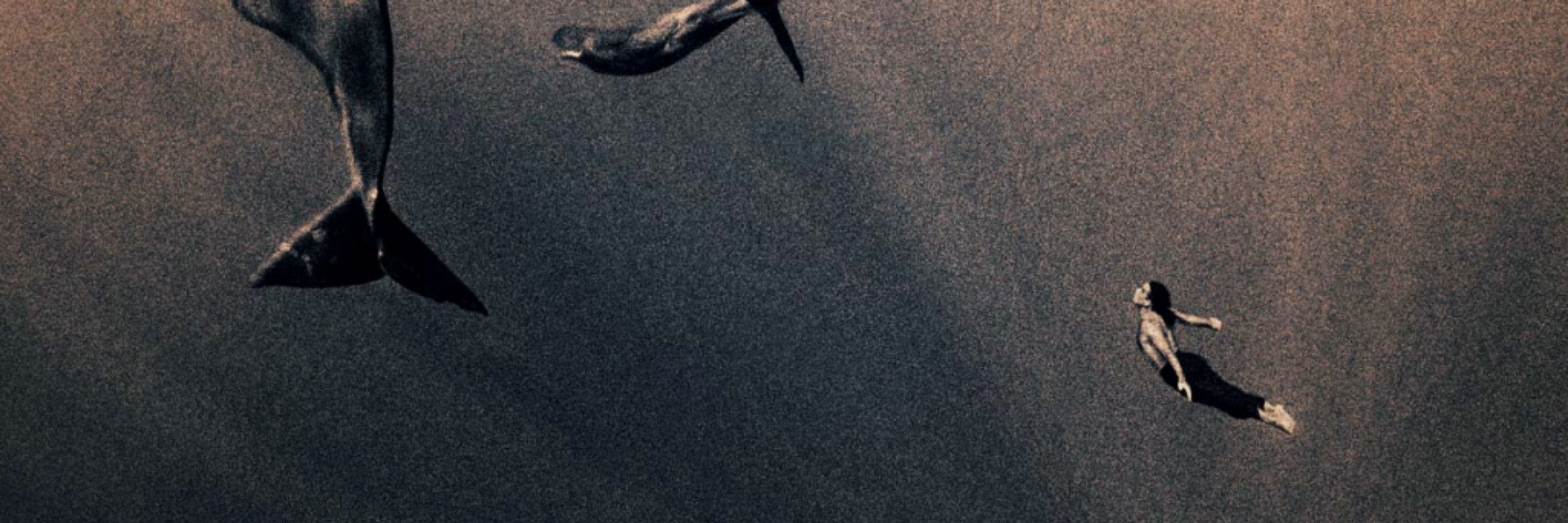 گره‌گوار سامسا