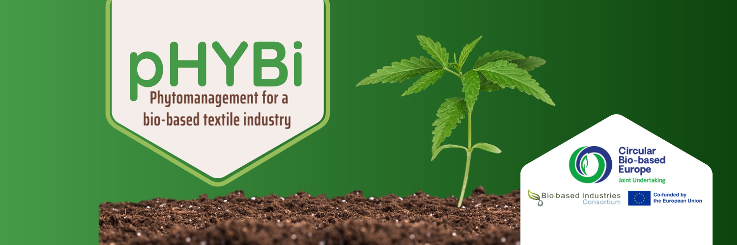 pHYBi Project