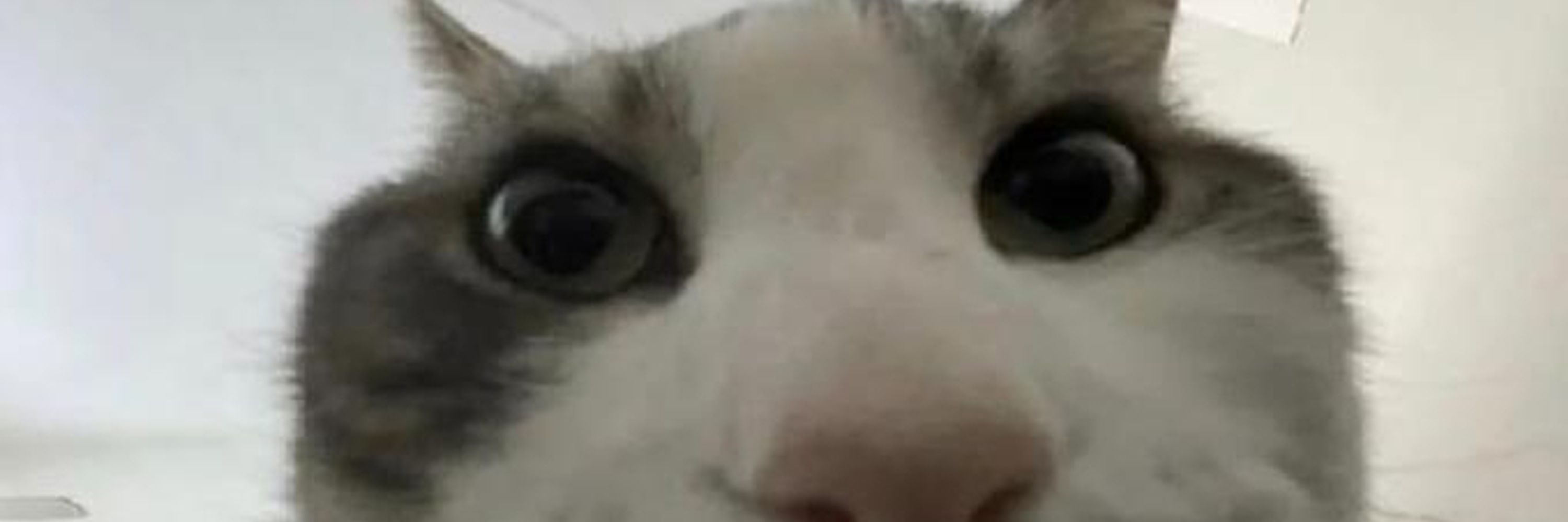 JohnnyÆ