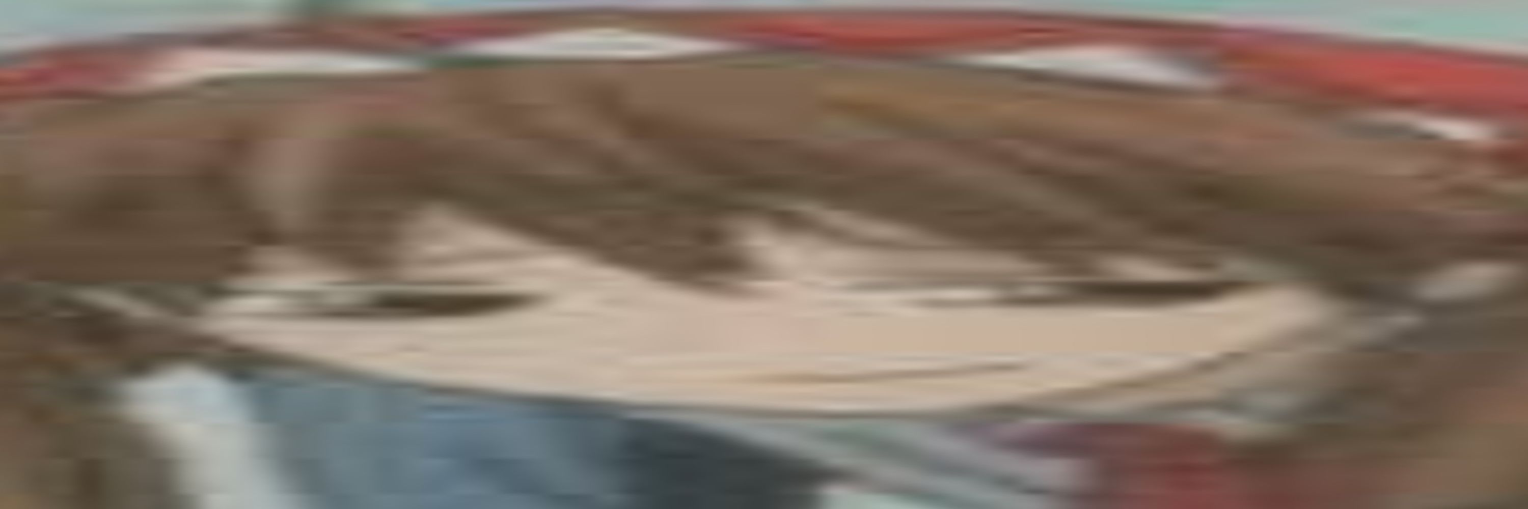 Faldion
