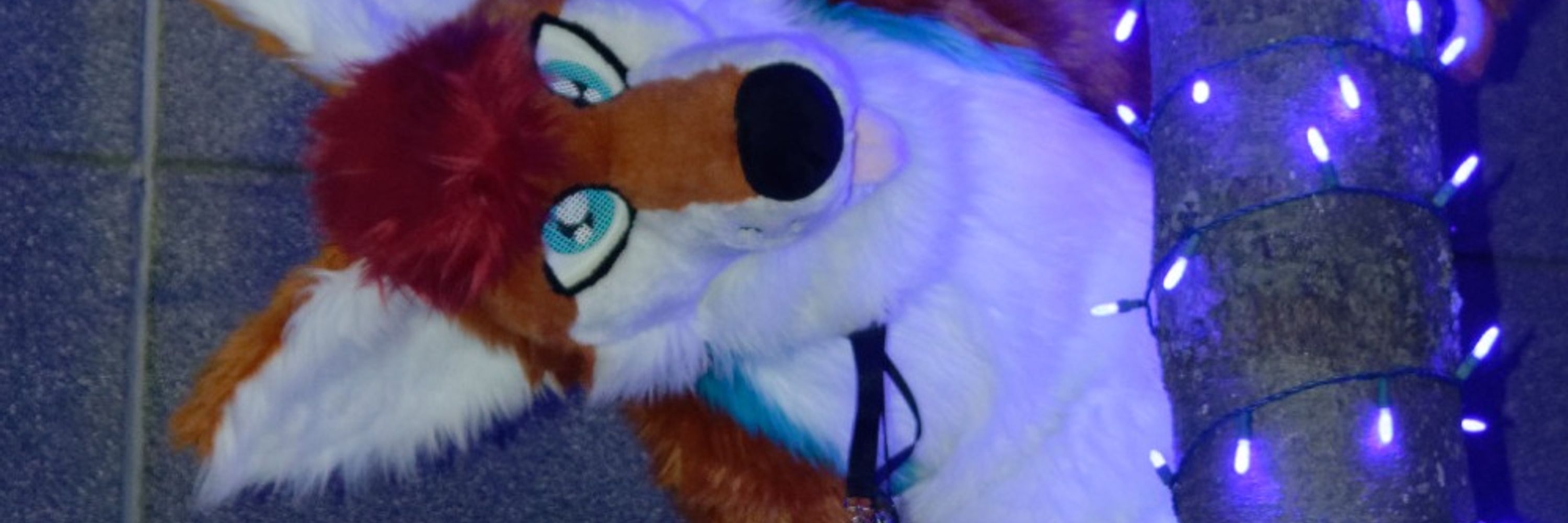 Static 🔜 FWA