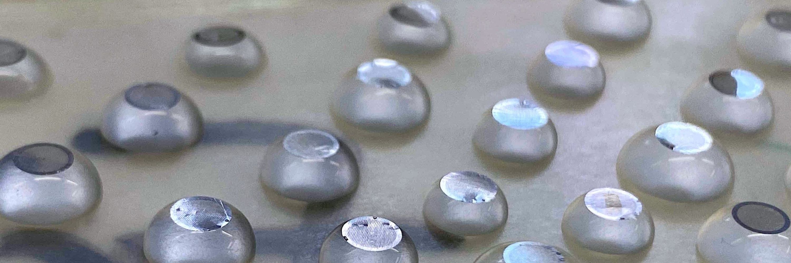 Brain Communications