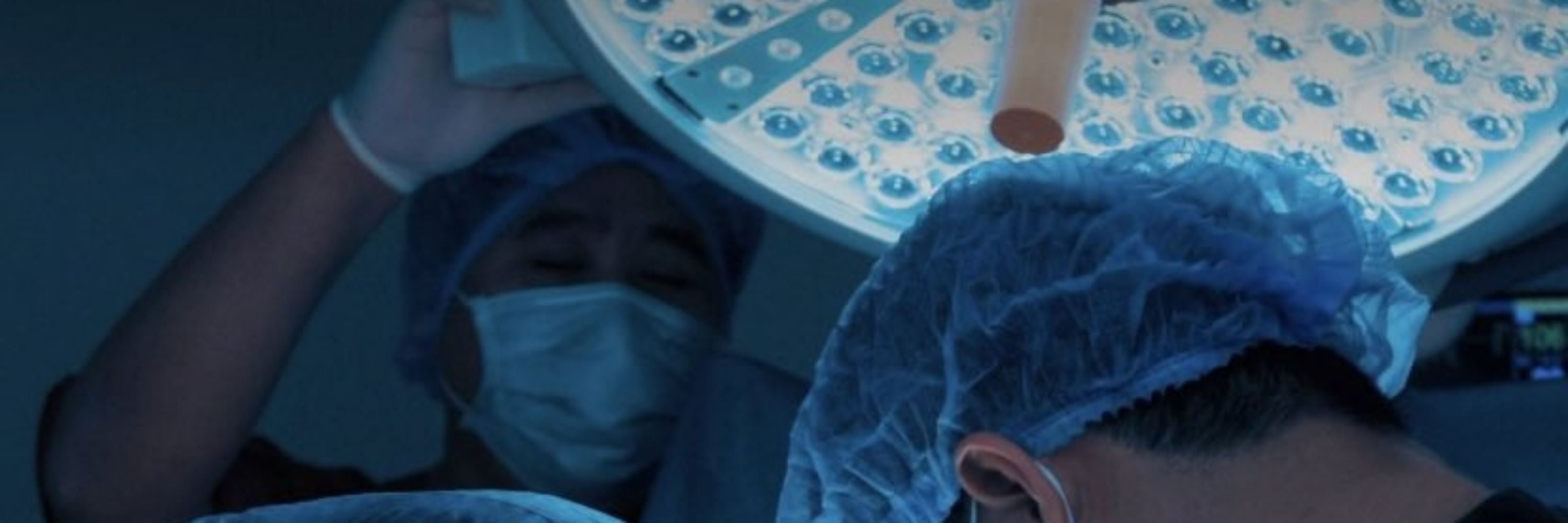 British Hernia Society