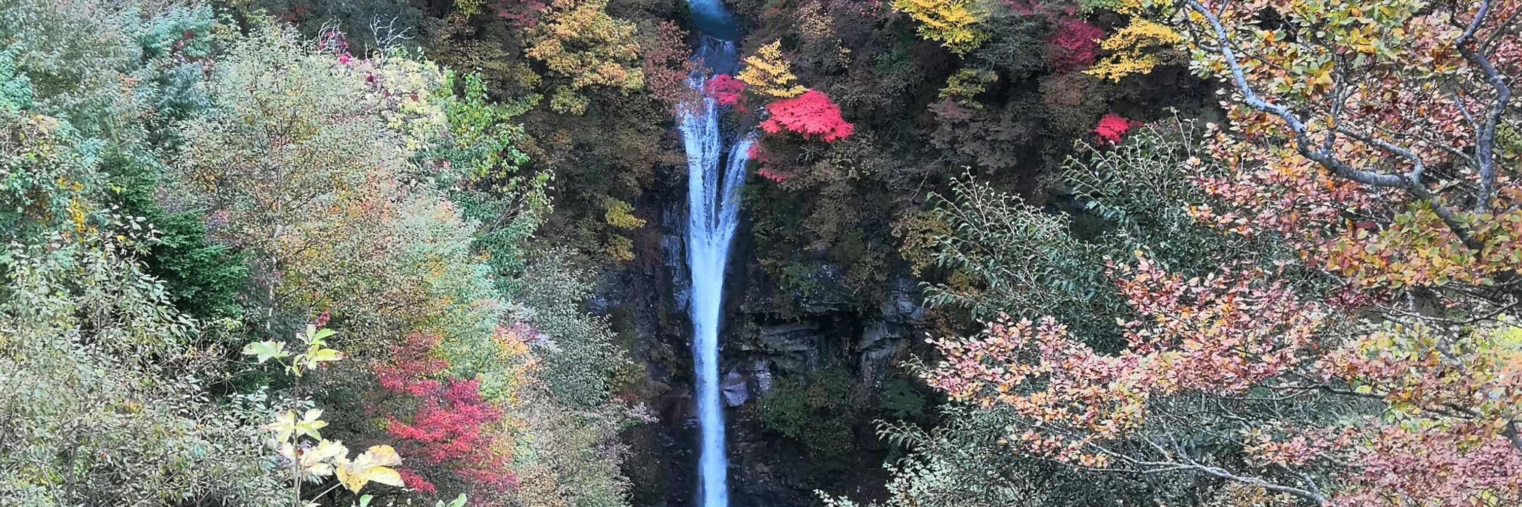 LoKee Trips in Japan