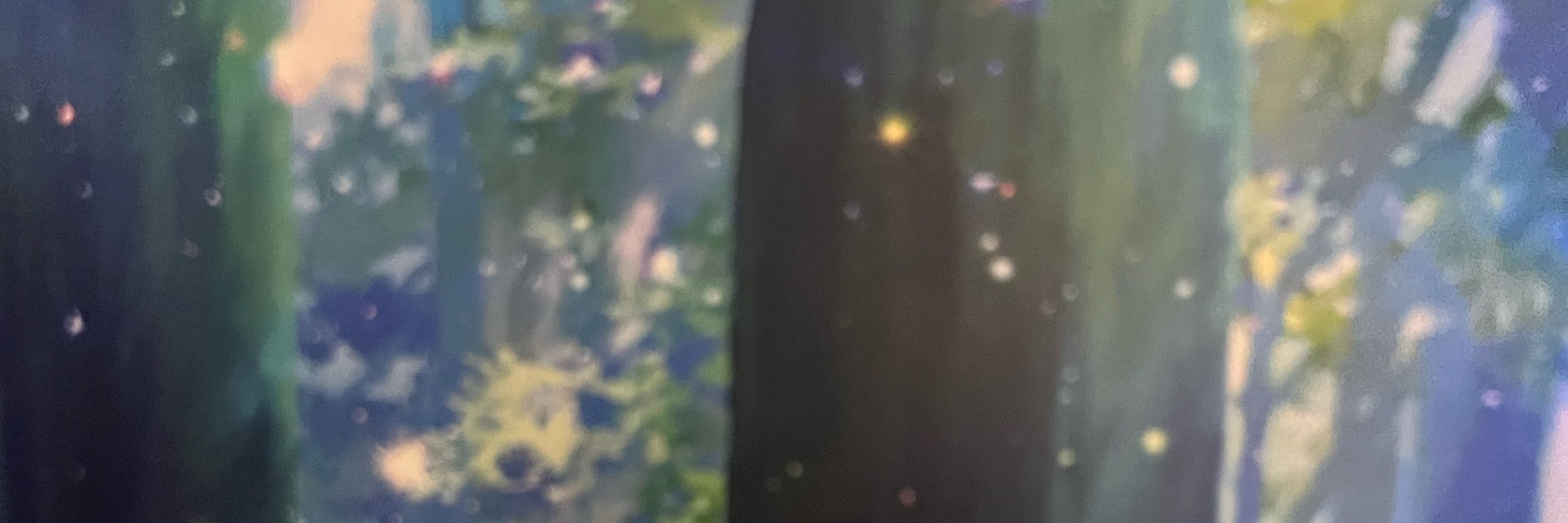 はるき