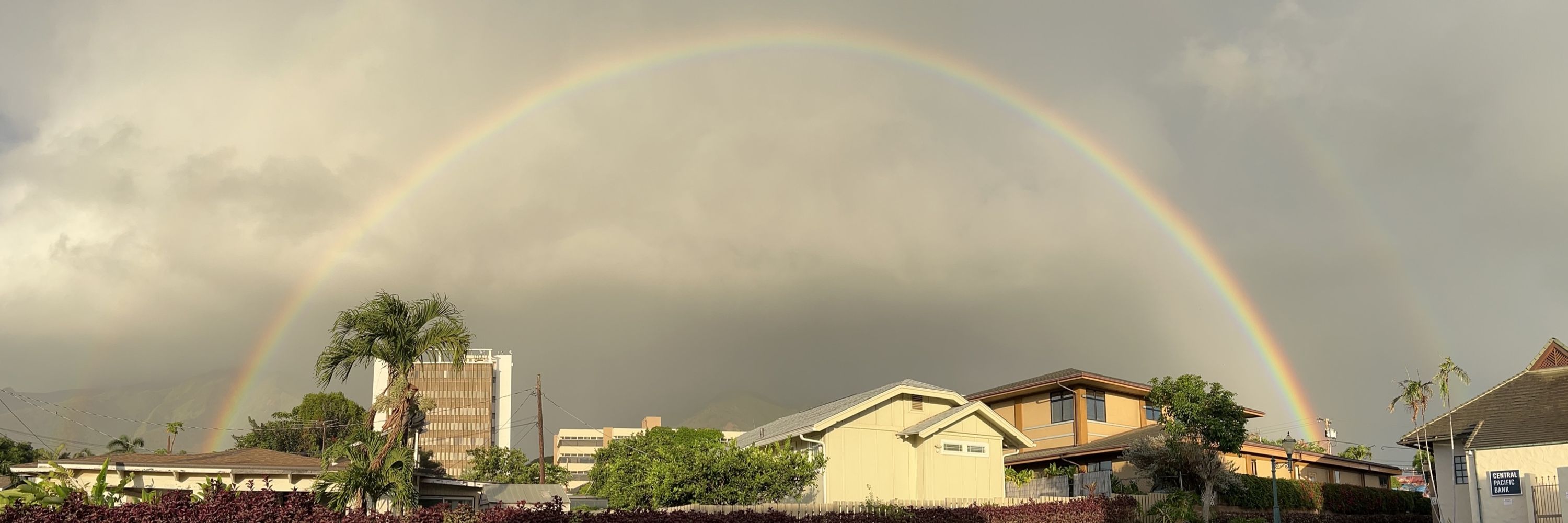 MauiMami
