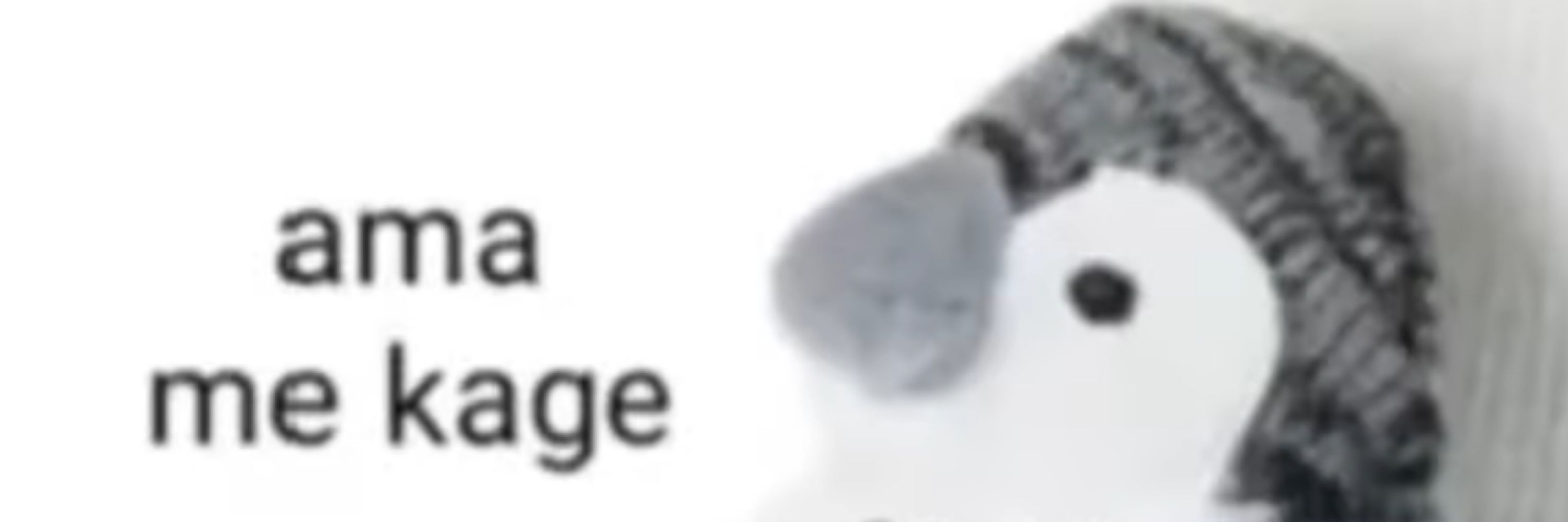 Bruxa fudida