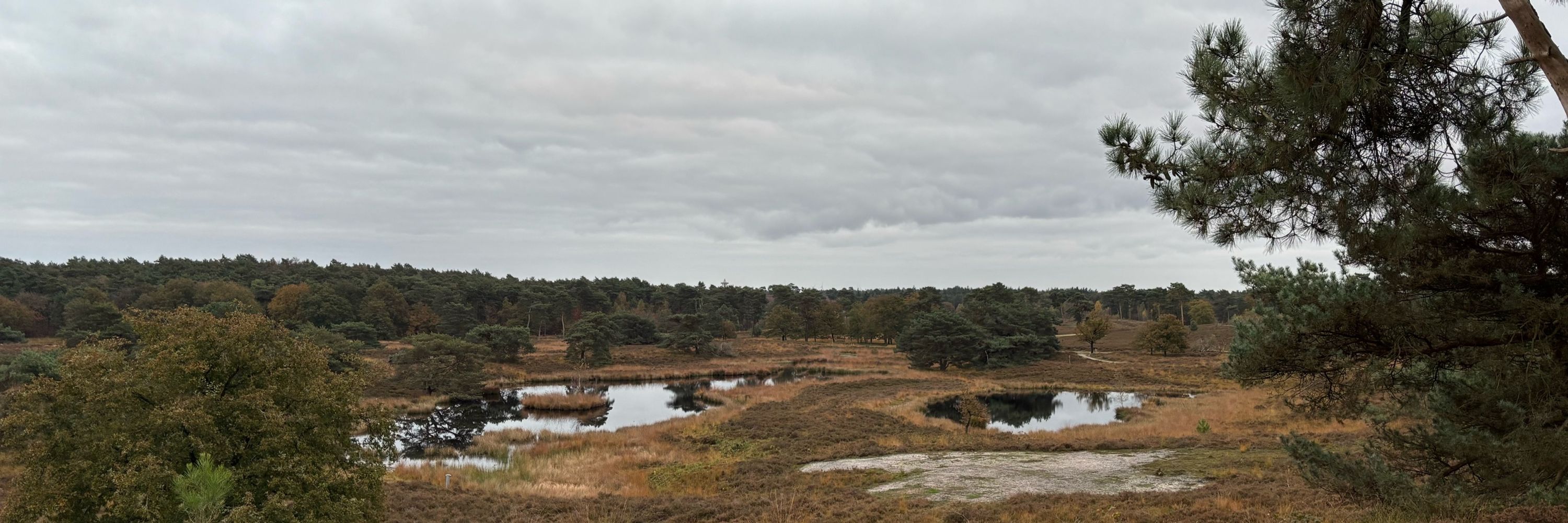 Christine Teunissen
