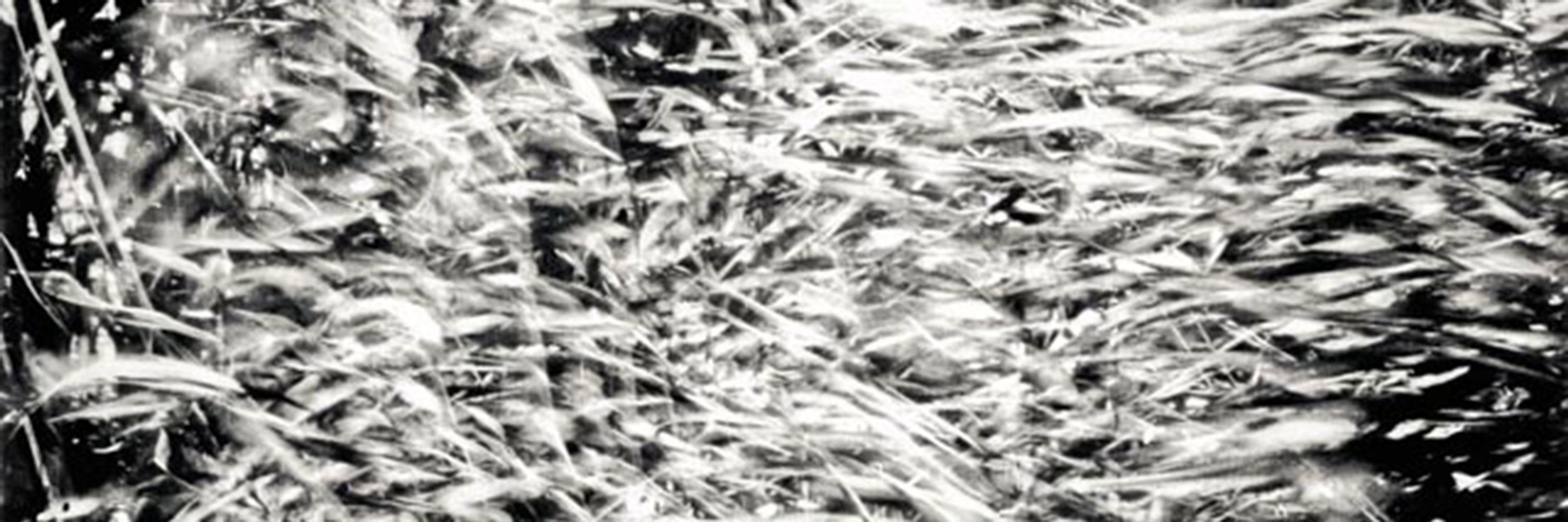 Martin van Wijngaarden Photography