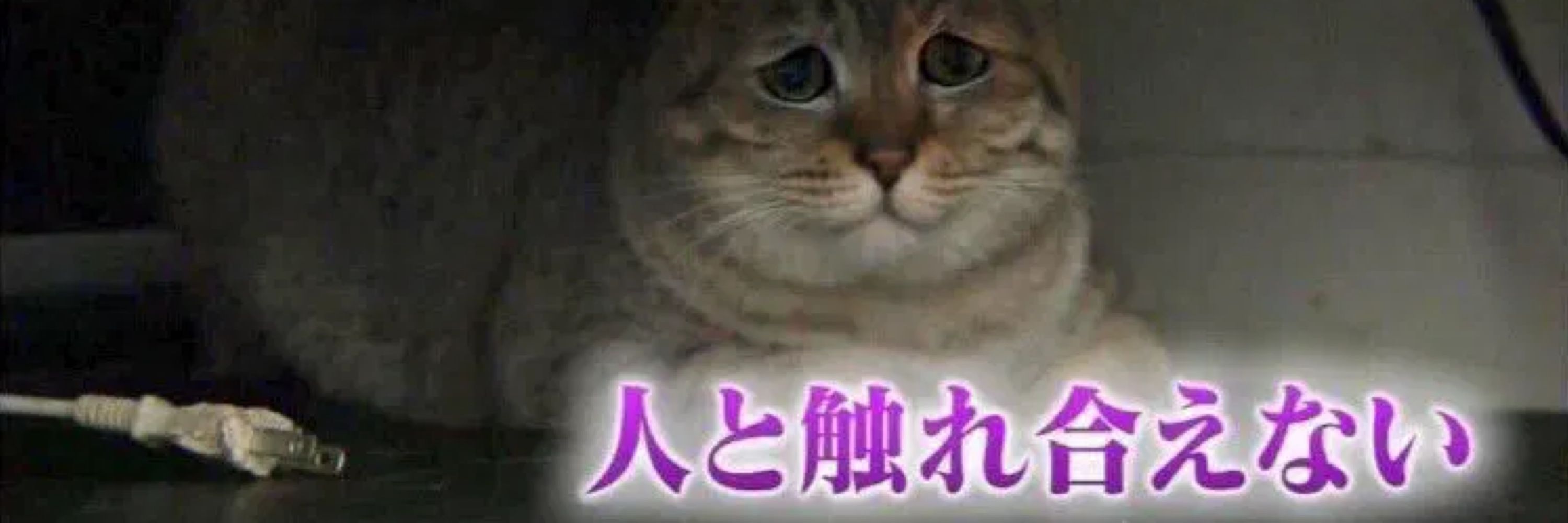 ☆