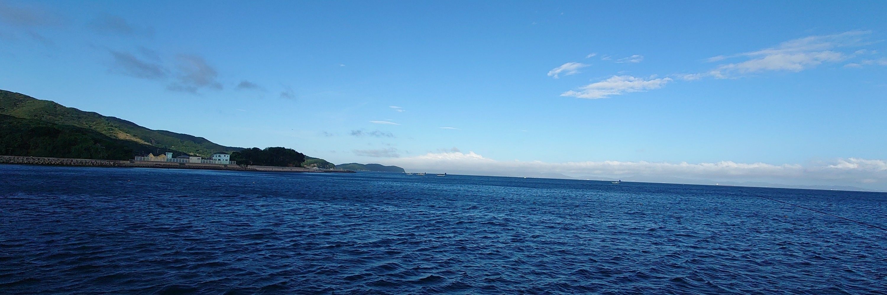 高橋伸夫