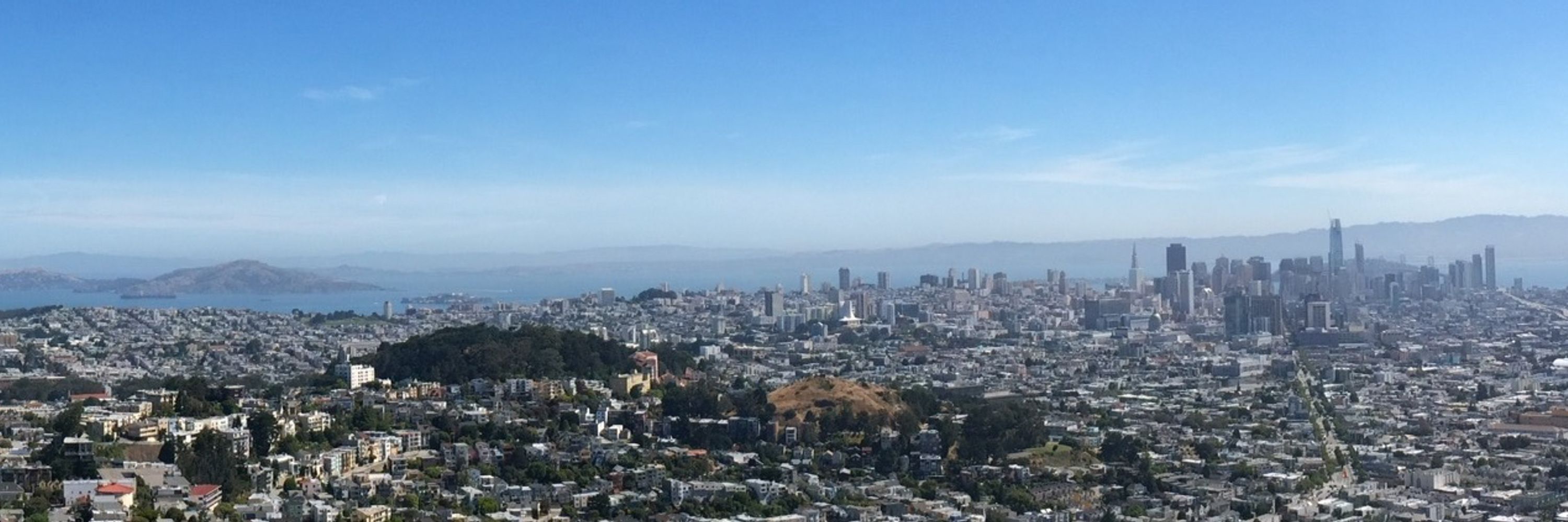 Life in the City - Evolution in an urbanizing world