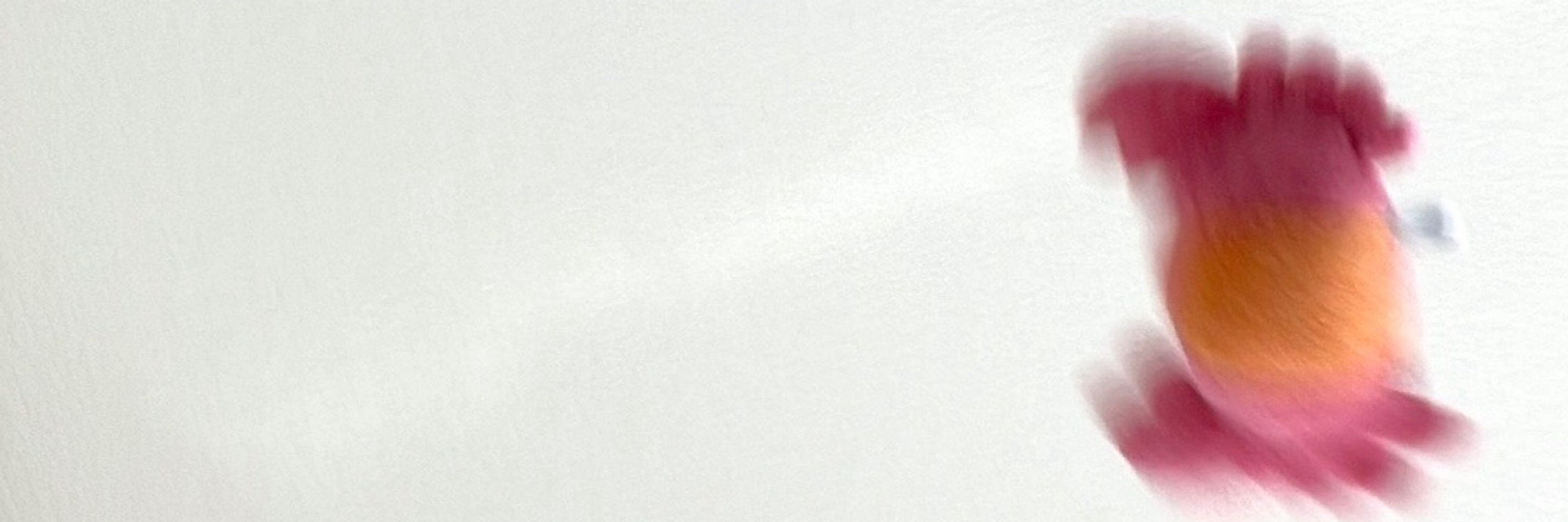 蟹